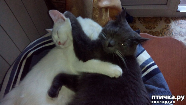 ���� 7: ���� �����, ������ �����