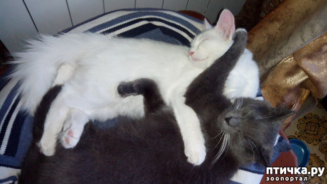 ���� 8: ���� �����, ������ �����