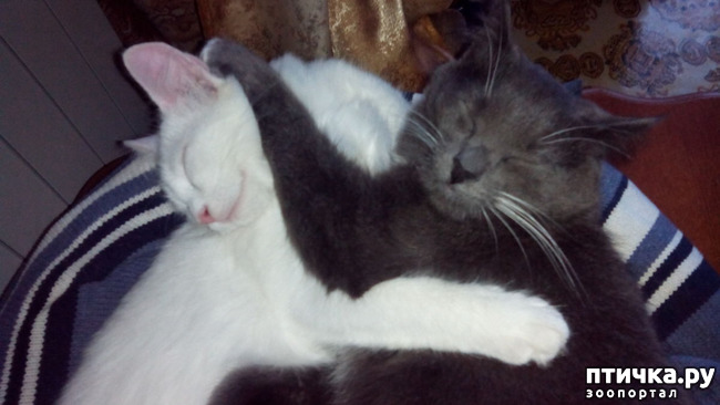 ���� 9: ���� �����, ������ �����