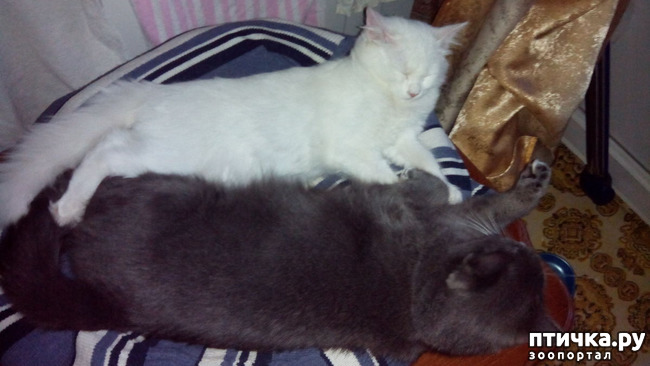 ���� 10: ���� �����, ������ �����