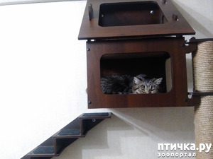 ����: ���� �� ������.