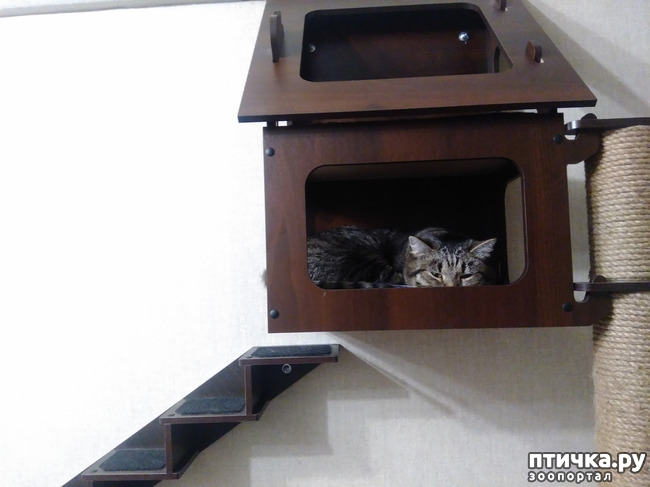 ���� 1: ���� �� ������.