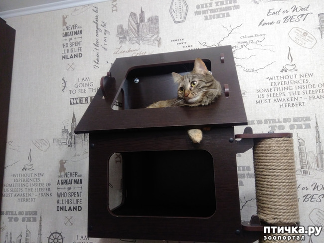 ���� 2: ���� �� ������.