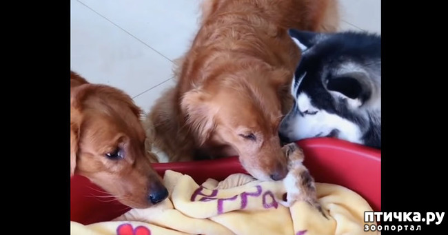 ���� 1: ������� ��������