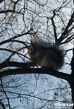 ����: ��� �� ������� �����.