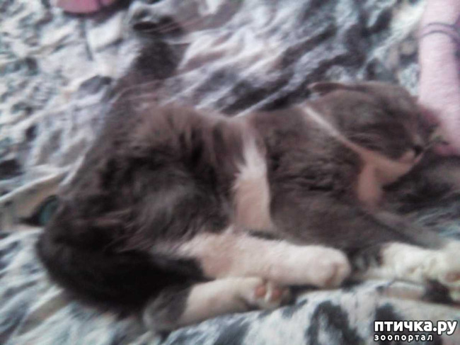 ���� 1: ����