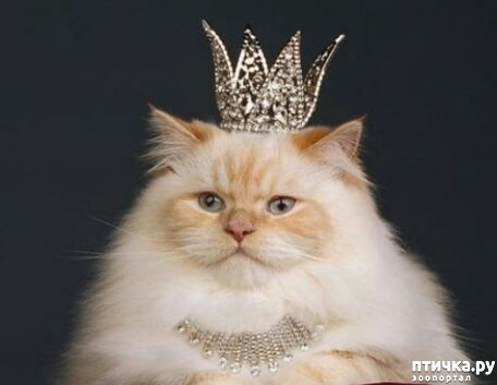 ���� 1: ���� �������