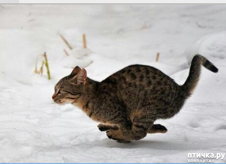 ���� 2: ���� �������