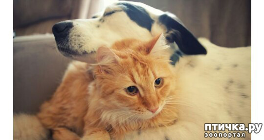 ���� 6: ���� �������