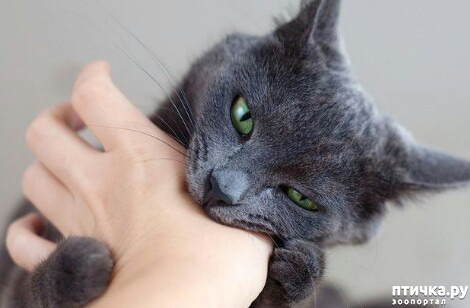 ���� 7: ���� �������