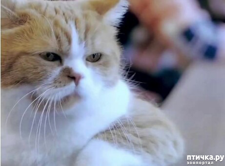 ���� 9: ���� �������