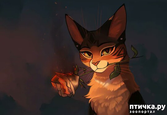 ���� 10: ���� �������