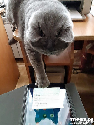 ����: ��� �� ��� �������? 5 �����