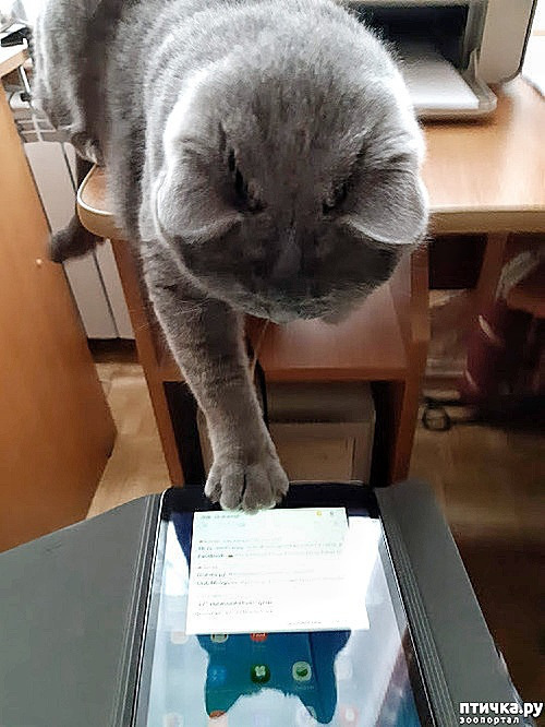 ���� 1: ��� �� ��� �������? 5 �����