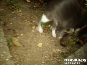 ����: ������ �������