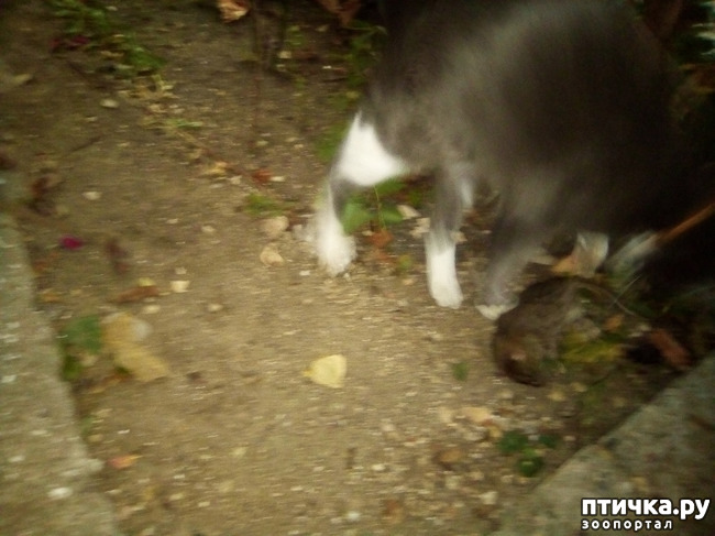 ���� 1: ������ �������