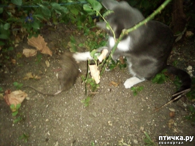 ���� 2: ������ �������