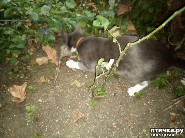 ���� 3: ������ �������