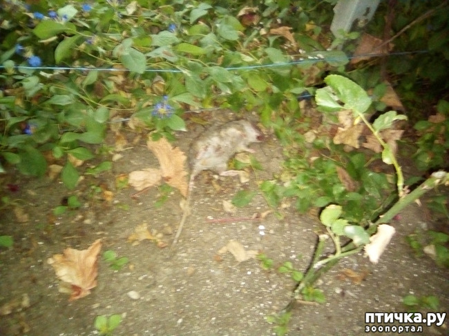 ���� 4: ������ �������