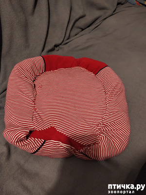 ����: �������� ��� ������.