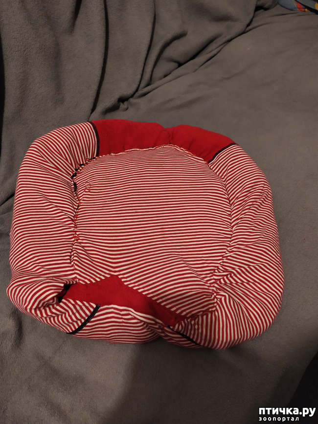 ���� 1: �������� ��� ������.