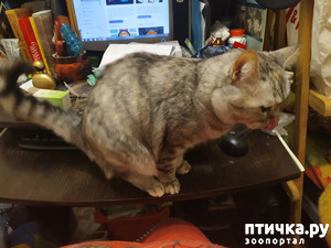 ����: ������� �� ������.)))