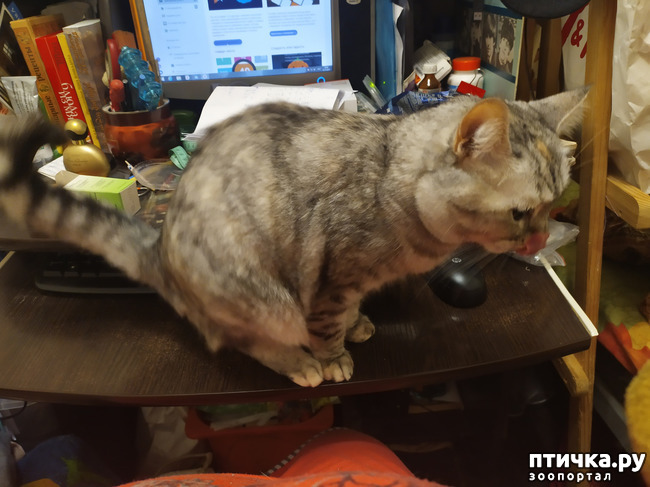 ���� 1: ������� �� ������.)))