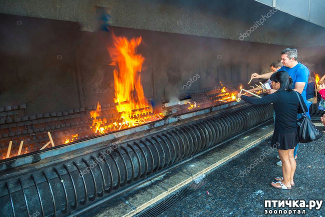 ���� 7: ����������. ������.