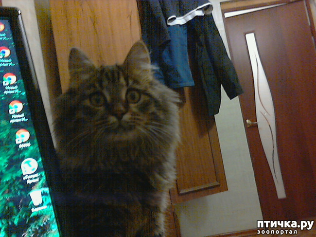 ���� 1: ������