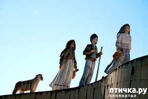 ����: ����������. ������.