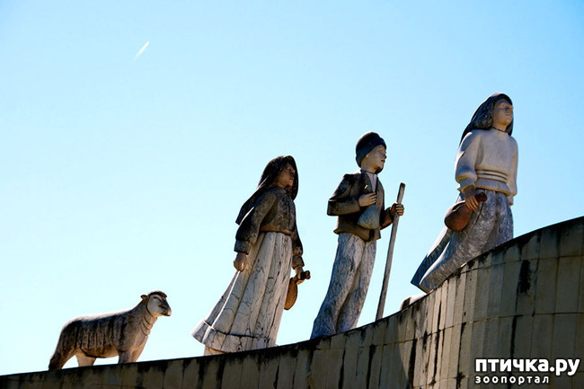 ���� 1: ����������. ������.