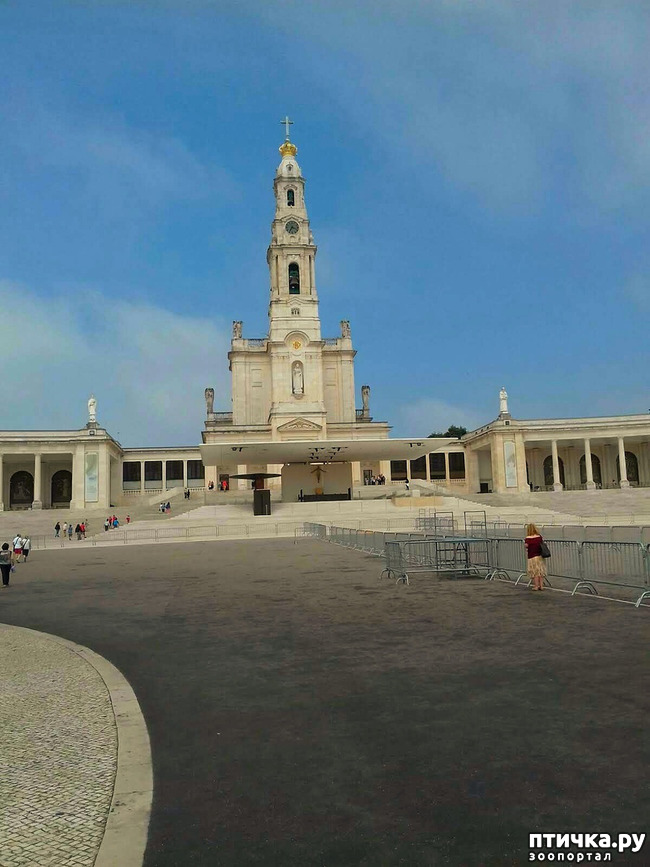 ���� 2: ����������. ������.