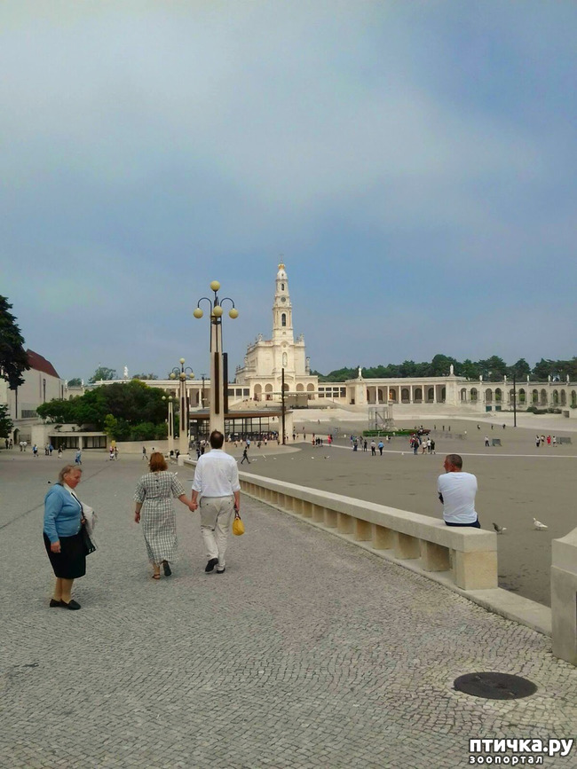 ���� 3: ����������. ������.