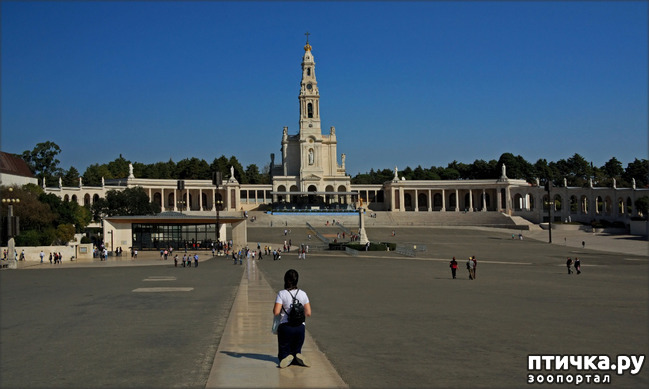 ���� 5: ����������. ������.