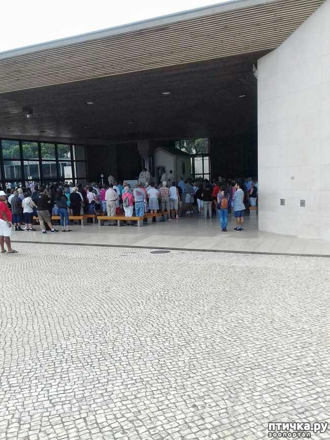 ���� 6: ����������. ������.