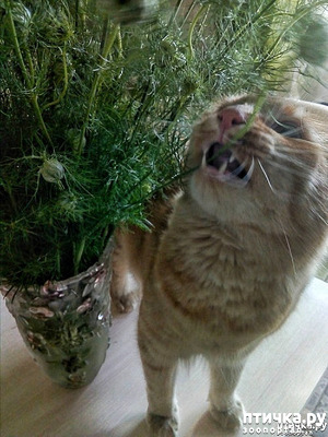 ����: ��� �� ��� �������? 6