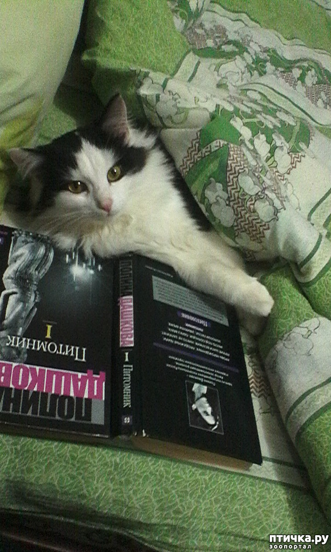 ���� 2: ��� �� ����� �������