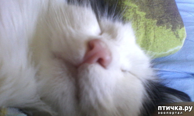 ���� 1: ��� �� ����� ������� 3