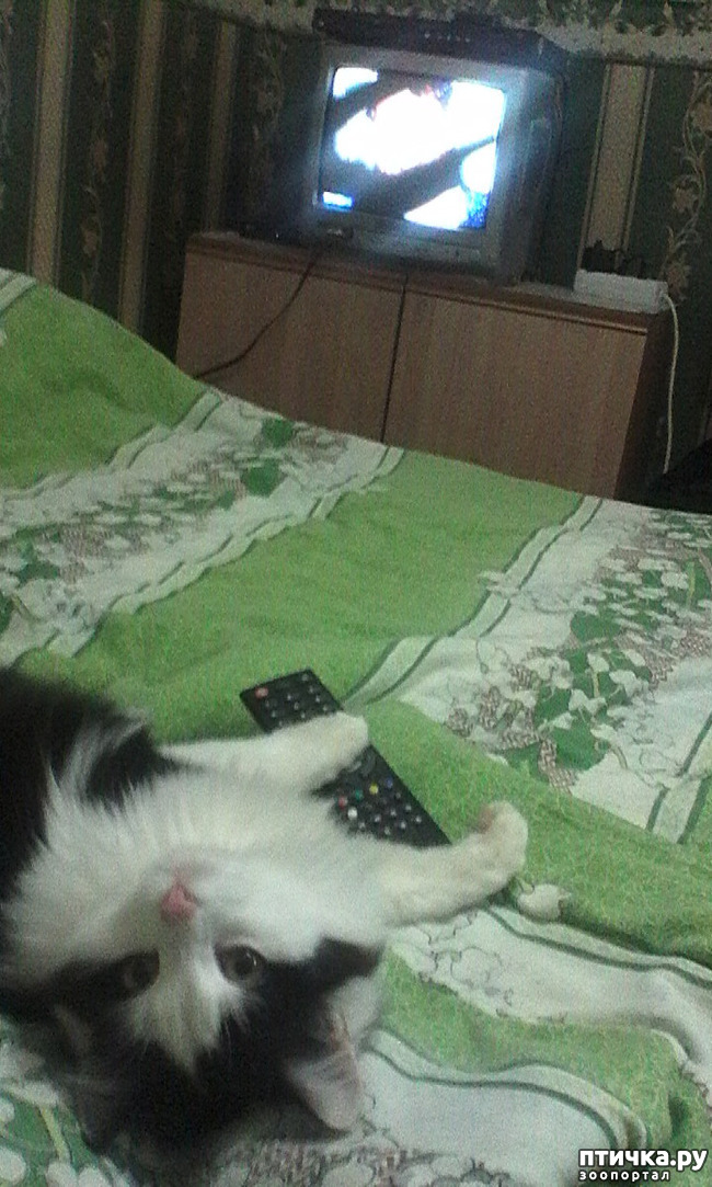 ���� 3: ��� �� ����� �������