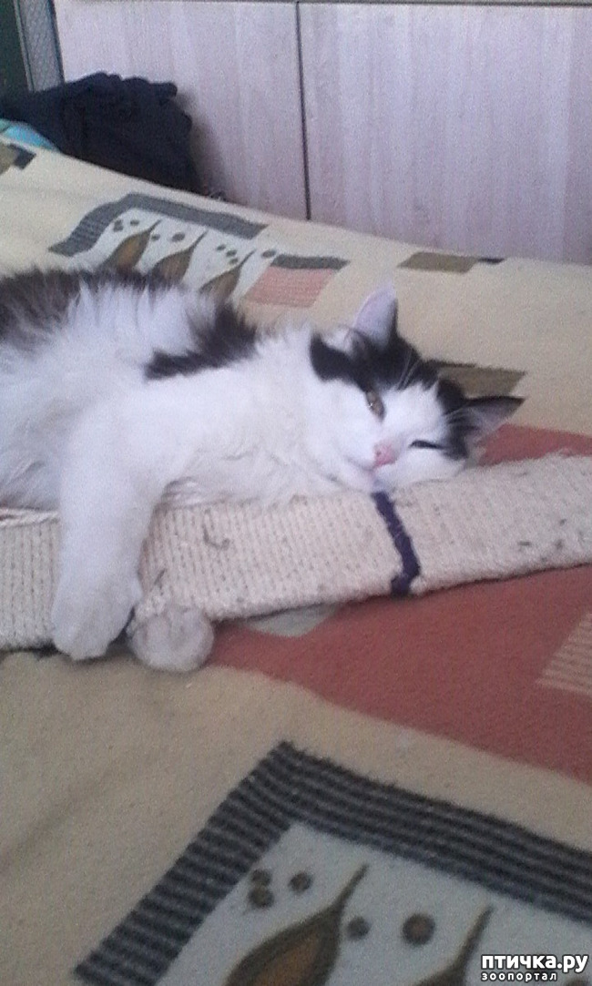 ���� 1: ��� �� ����� ������� 2