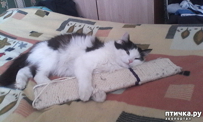 ���� 2: ��� �� ����� ������� 2