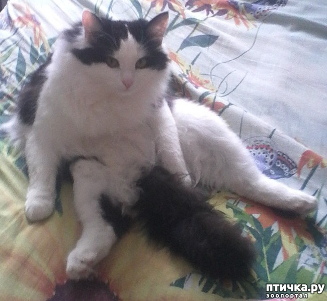 ���� 3: ��� �� ����� ������� 2