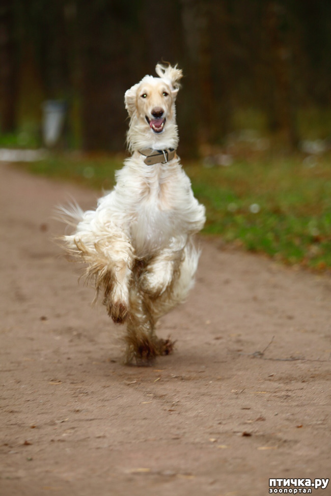 ���� 1: ������ ����� ��� ��������� ������