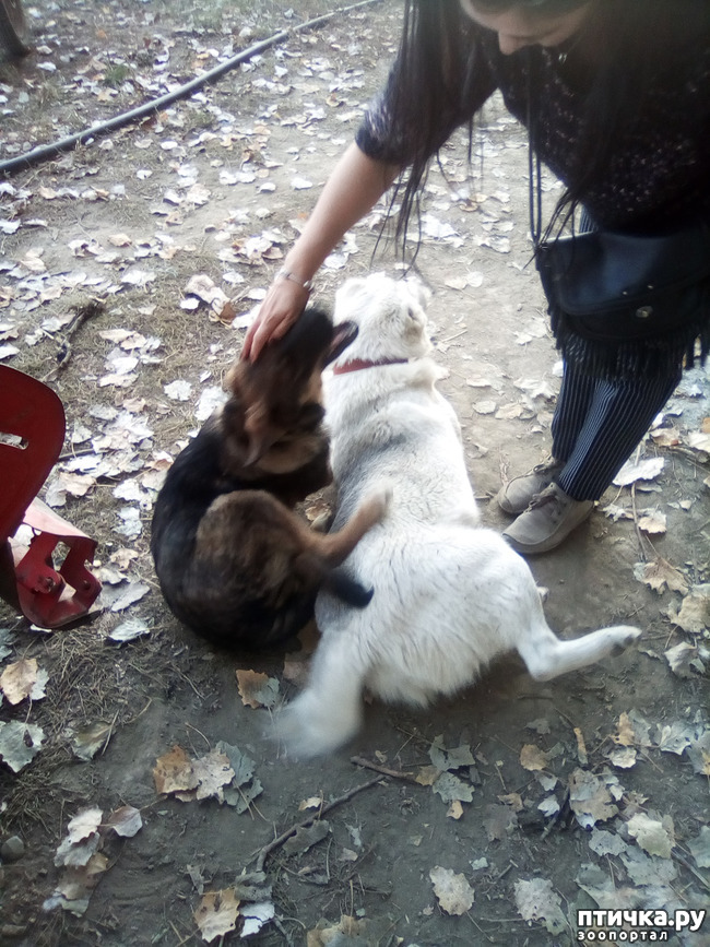 ���� 16: ������� �������� ������� �����