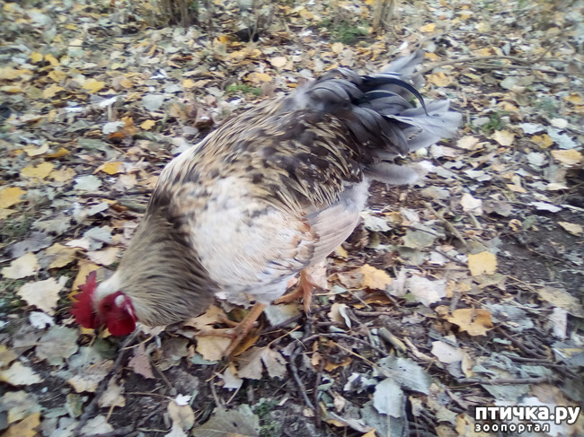 ���� 18: ������� �������� ������� �����