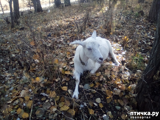 ���� 19: ������� �������� ������� �����