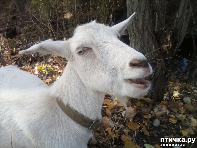 ���� 20: ������� �������� ������� �����