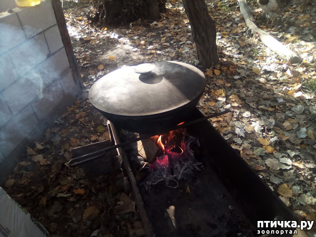 ���� 21: ������� �������� ������� �����