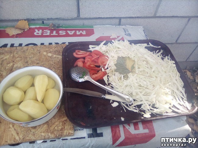 ���� 22: ������� �������� ������� �����