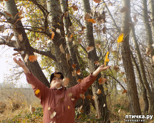 ���� 29: ������� �������� ������� �����